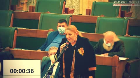 Intervenție Senat pe tema creșterii porcilor - Diana Șoșocă