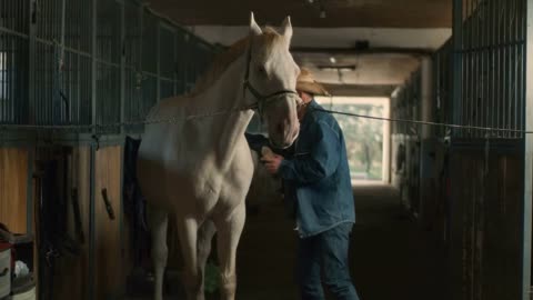 Positive senior male farmer in denim clothes and hat cleaning and kissing albino horse while