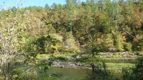 Cahaba River Wildlife Management Area. Slideshow