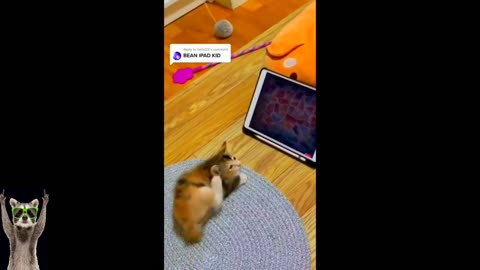 Latest Giggles and Grins 🤪 | New Funny Cats and Dogs - Cutest Animal Videos Ever! 🐱🐶