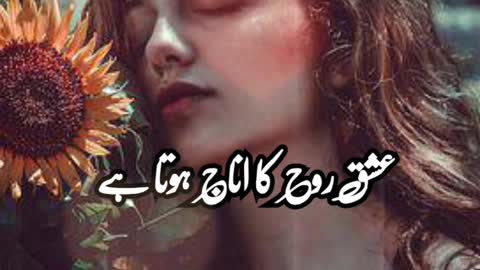 Ishk ka ain | poetrystatus | deeplines | poetrylover #urdupoetry #foryou #viral