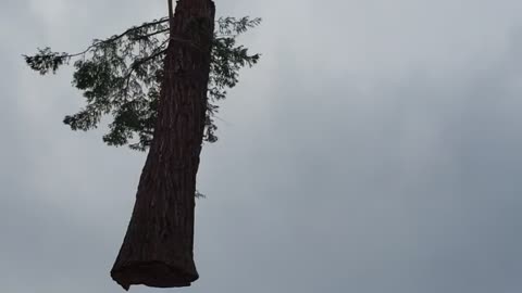 Redwood 5000 lb overhead