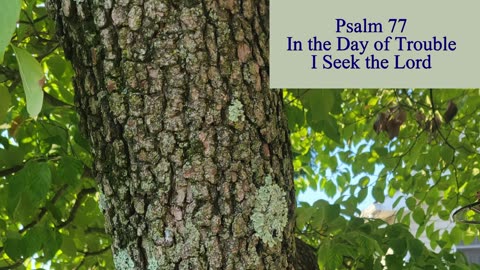 Psalm 77 - ESV Audio