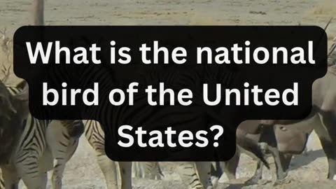 What is the national bird of the United States?