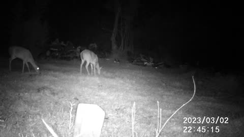 3/2/23 DEER