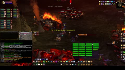 Turtle Wow - PUG MC run - 14 June - Paladin POV - No commentary