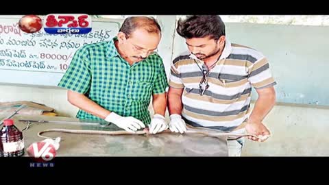 Wounded Cobra Undergoes Spinal Cord Surgery | Teenmaar News | V6 News