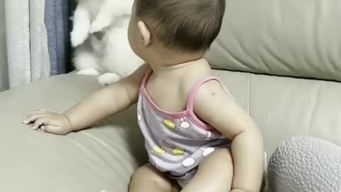 Cute dog and Baby short Video