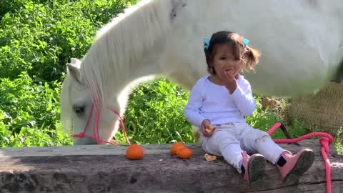 The cutest little toddler horse rider and her pony