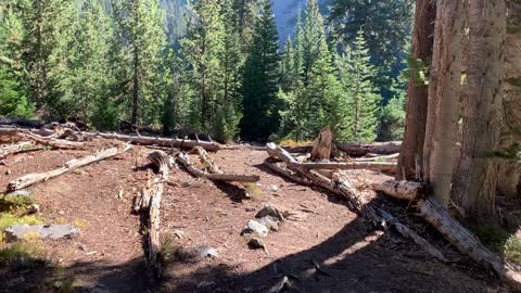 Eastern Oregon – Strawberry Lake + Wilderness – Creek Crossing + Backcountry Camping Area