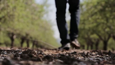 Walking video