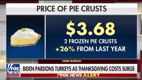 Peter Doocy: The Big Turkey Pardoning The Two Little Turkeys