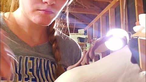 Carving a Pitcher Time-lapse