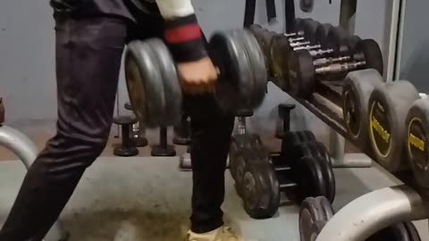 Single hand Dumbbell row | 25kgs