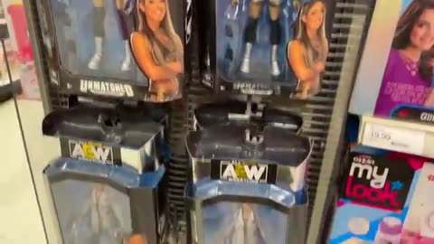 INSANE_WWE_TOY_HUNT!_MOST_LOADED_STORE_IVE_EVER_SEEN!(360p)