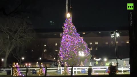 America's National Christmas Tree says 'I'm outta here'