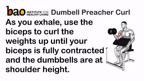 Dumbell Preacher Curl