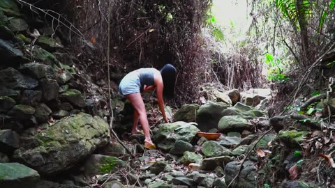 Primitive Cooking- Catch crabs in the forest to make lemongrass steamed crabs - Living Alone