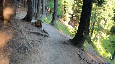 Central Oregon - Three Sisters Wilderness - Looking Down on Curving Creek