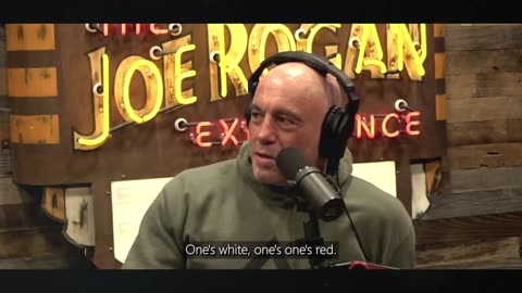 Joe Rogan and Dr. Phil Discuss China Buying United States Farmland