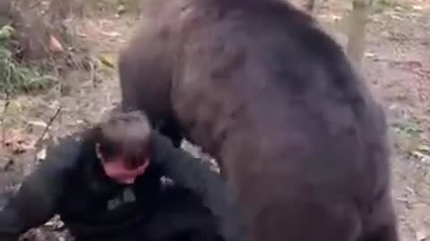 Russian bear, having fun.