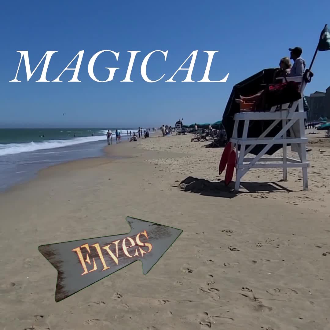 Experience our Magical Lifeguards
