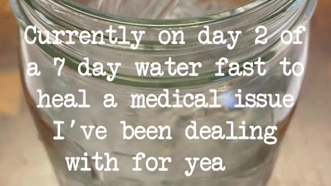 Day 2💦 7 Day Water Fasting To Heal Health Issues And Weight Loss by Carnivore Dad