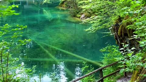 Pure beauty… 📍Blausee🇨🇭