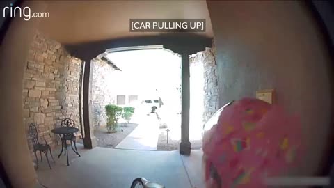 Taylor Talks to Her Neighbor On Ring Video Doorbell After Running Away From a Bobcat _ RingTV.