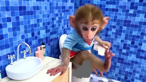 Baby monkey