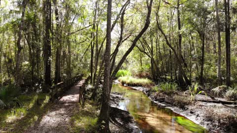 Wells of Savannah