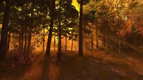 Autumn Forest 3D Screensaver