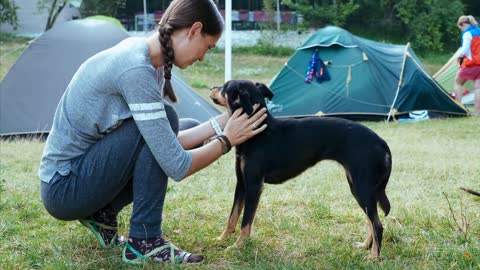 Woman is gently stroking mongrel dog at campfire. People and animal friendship concept