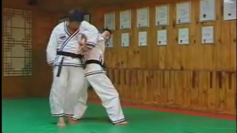 Hapkido