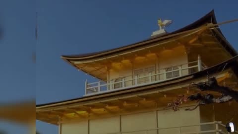 Golden Pavilion Japan Tour