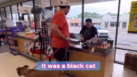 Alex Stein went to petco to see if they can turn his dog into a lesbian this Pride month