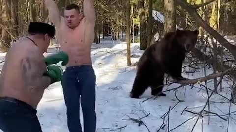 Even Their Bears Work Out