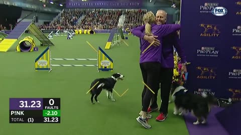 P!nk the border collie wins back-to-back titles at the 2019 WKC Masters Agility | FOX SPORTS