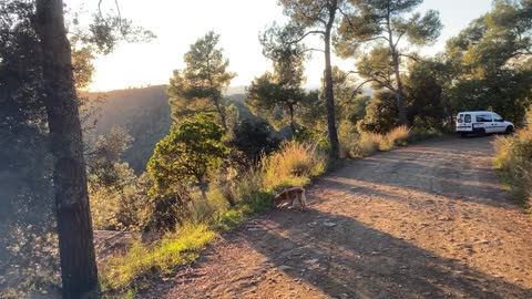 Walking with a dog on the hills behind Barcelona (Colserola)