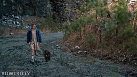 Stranger Things - with a Cat