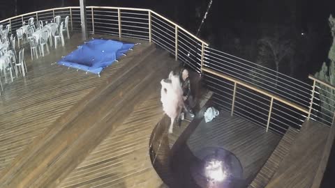 Mom Falls Down Steps and Head Lands in Firepit