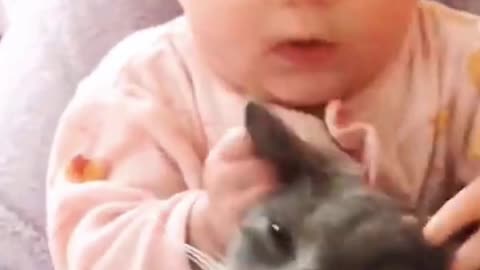 Small baby playing with cat ear, fun time of baby