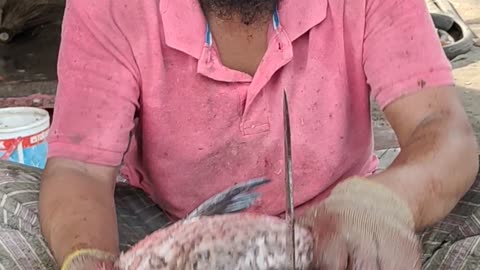 Amazing Fish Cutting Skills l Big Rohu Fish Fish Cutting By Fast Cutter#shorts