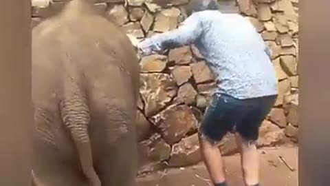 Elephant Kick