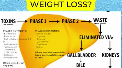 Detox Weight Loss Facts