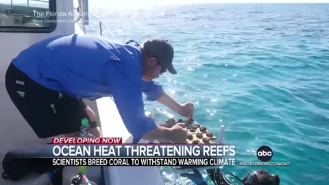 Rising temperatures threaten Florida's coral reef