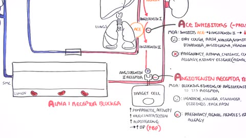 Pharmacology - Antihypertensives