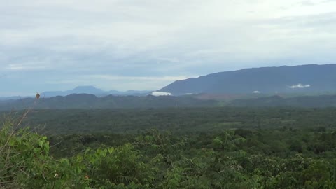 Awan di kawasan hutan tropis