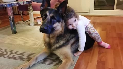 When your dog becomes a special friend - Cute dog and little human