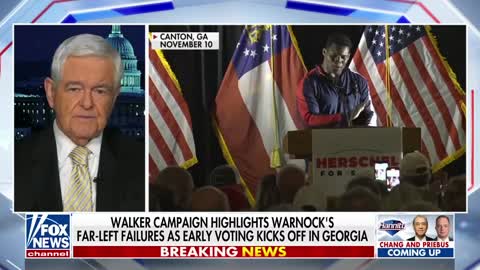 Newt Gingrich on Herschel Walker's chances in key Georgia runoff race